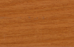 express_sugar-maple_blind