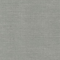 acaciadawngrey_blind