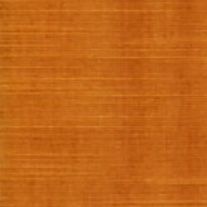 pipkin-pumpkin_blind