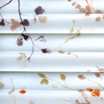 sapota-autumn_blind