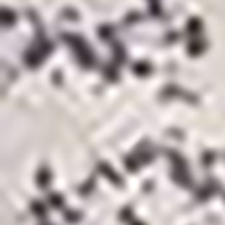 SilhouetteAubergine_blind