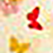 PapillonAutumn_blind