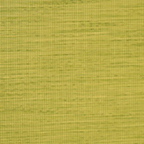 Moire_zest_blind