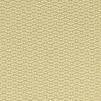 Persimmon_apple_green_blind