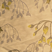 WillowyChartreuse_blind