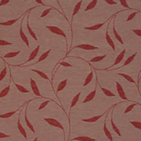 Darwin_red_blind