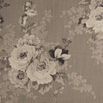 EnglishRoseDove_blind