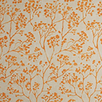 Batiste_orange_blind