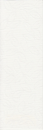 arena_vertsscans_fallwhite_blind