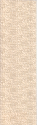 arena_vertsscans_rococoicecream_blind