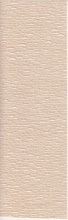 arena_vertsscans_raffianatural_blind