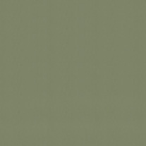 acaciaspearmint_blind