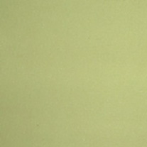 Memphis_green_blind