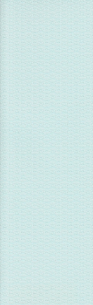arena_vertsscans_persimmonaqua_blind