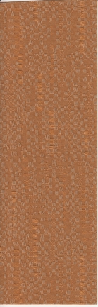 arena_vertsscans_kookieburntorange_blind