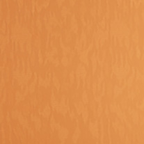 Rowan_orange_blind