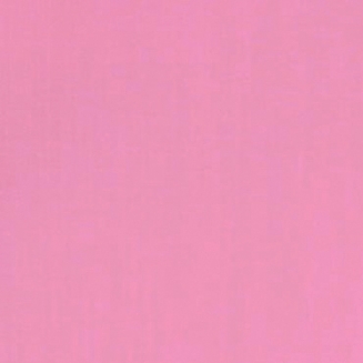 FagelSorbet_blind