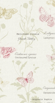 Lillianapinkezifitblinds_blind