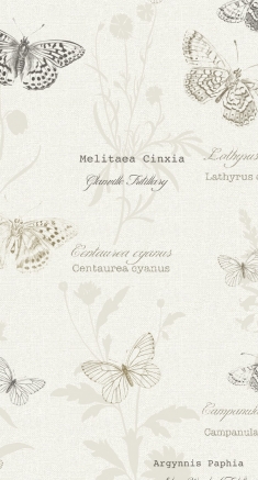 LillianaCharcoalezifitblinds_blind