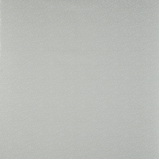 AnnieSilver_blind