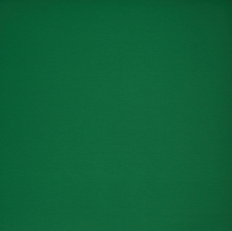 AcaciaEmerald_blind