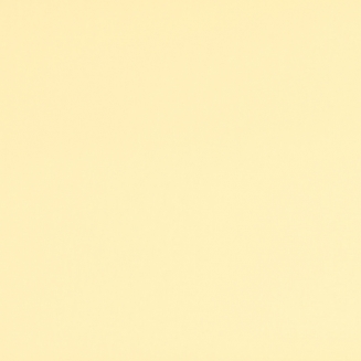 AcaciaPrimrose_blind