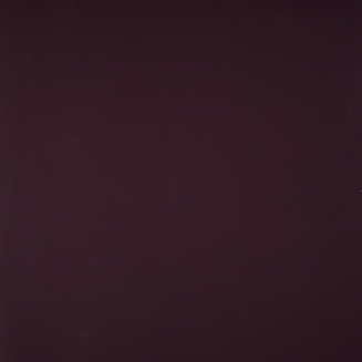 MemphisDamson_blind