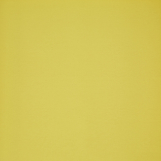 AcaciaCanary_blind