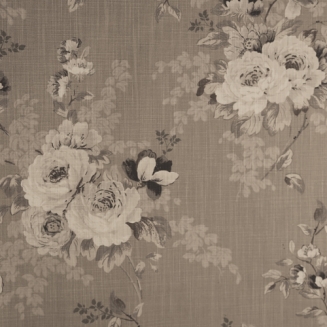 EnglishRoseDove_blind