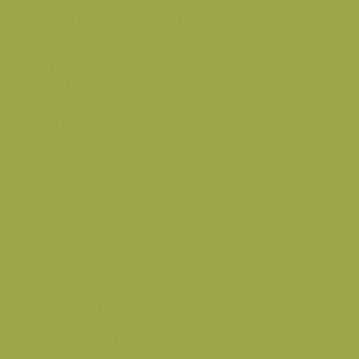 acacia-forest_blind